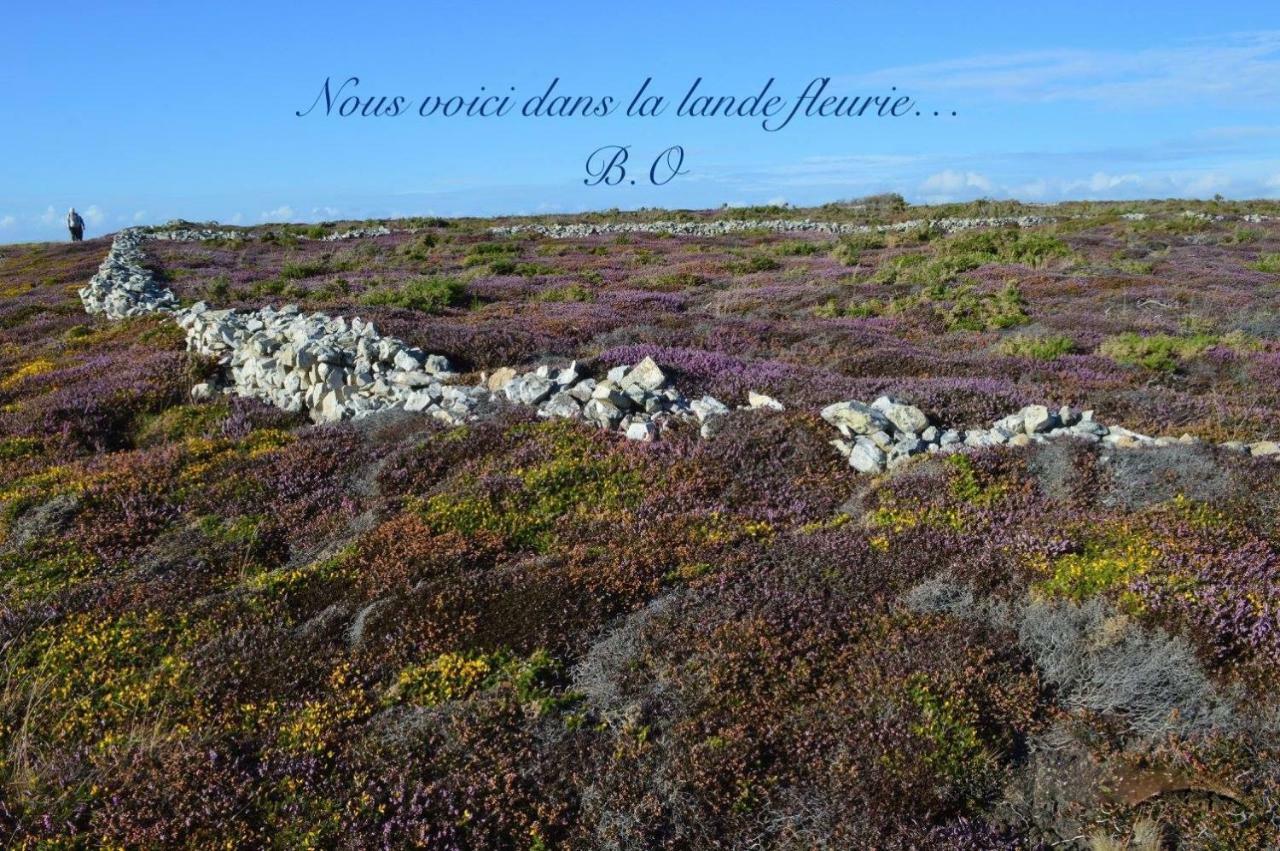 Le Clos Des Agapanthes Plogonnec エクステリア 写真